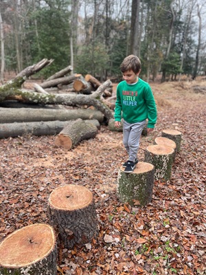 A young boy walks on tree stumps.